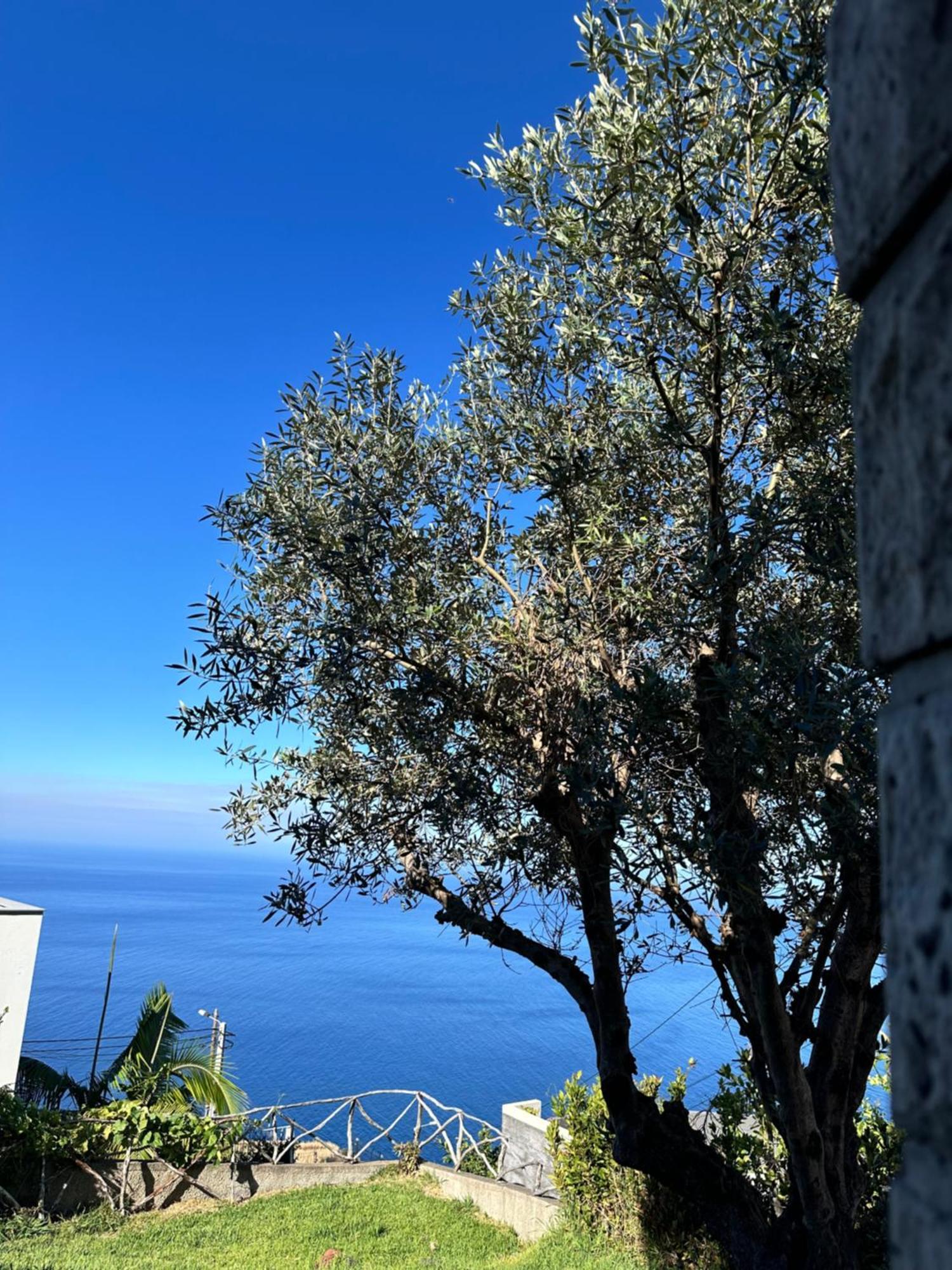Cozy Sea View House Faja Da Ovelha Villa กัลเลตา ภายนอก รูปภาพ